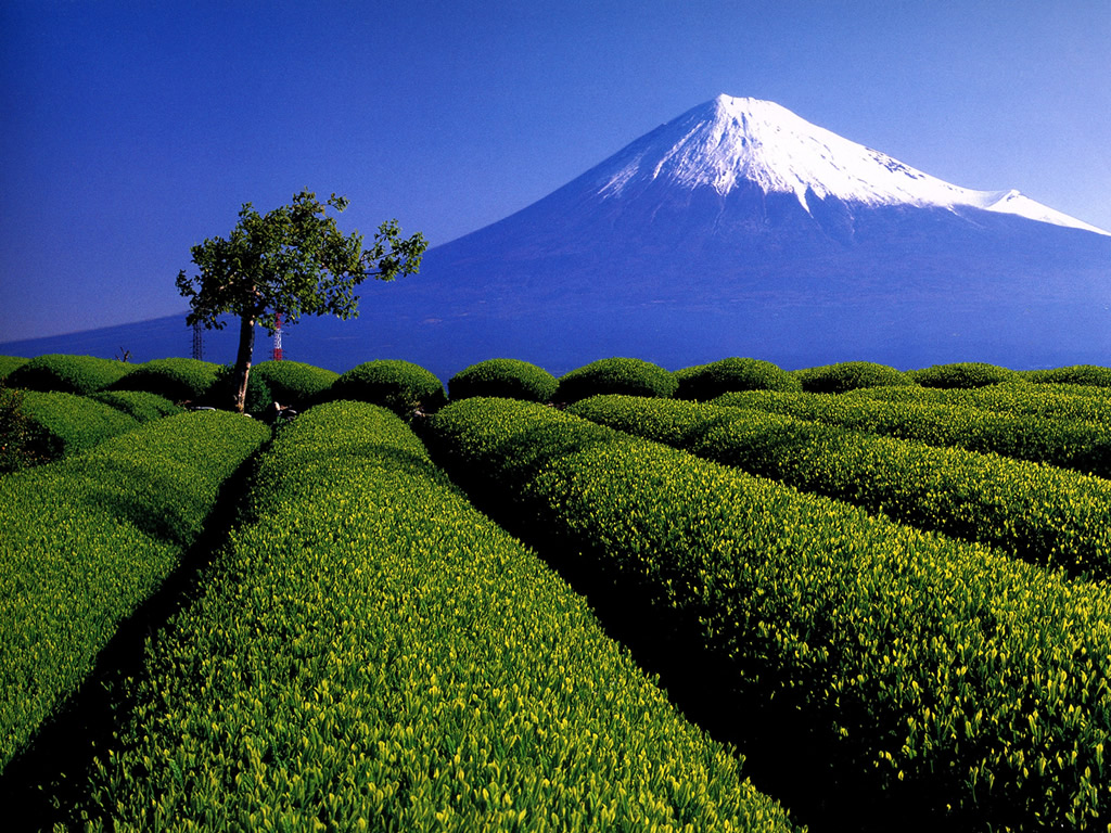 富士山壁紙 ２ 日本文化物語