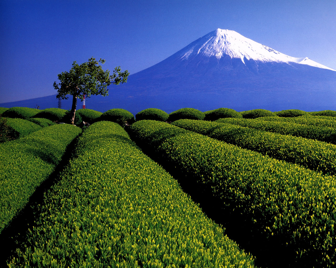 富士山の壁紙 富士の響 富士山写真 壁紙