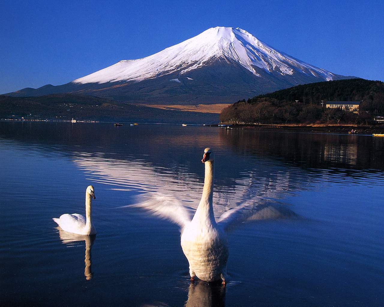 富士山の壁紙 富士の響 富士山写真 壁紙